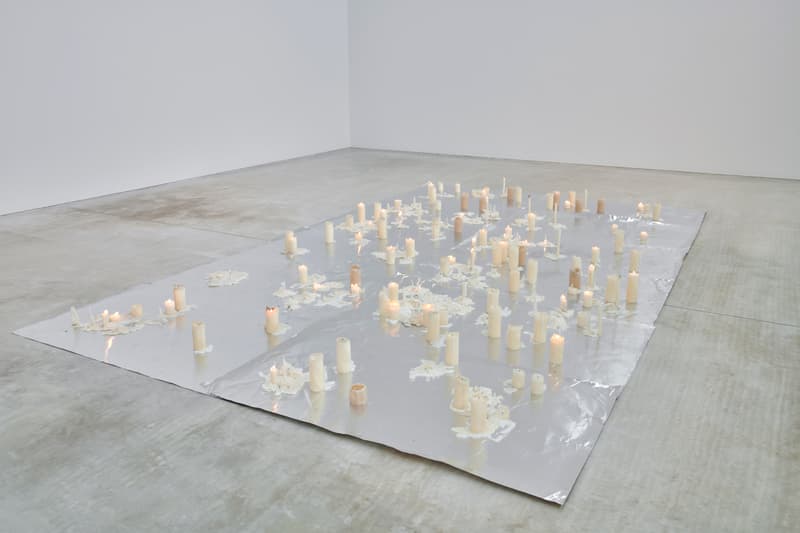 anya gallacio turner contemporary preserve exhibition art artworks