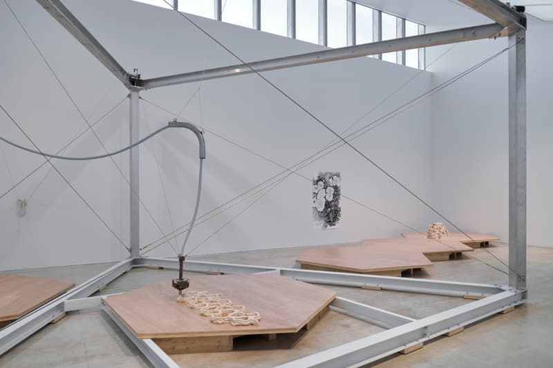 anya gallacio turner contemporary preserve exhibition art artworks