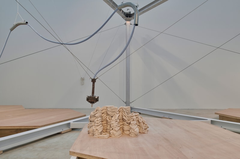anya gallacio turner contemporary preserve exhibition art artworks