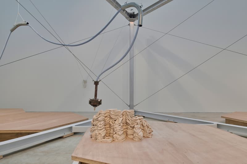anya gallacio turner contemporary preserve exhibition art artworks