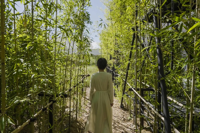 teamLab 'Field of Wind, Rain and Sun’ Exhibition Higashiosaka Info  “Enso of the Sun" 'A Cafe in the Field of the Can Can Factory'
