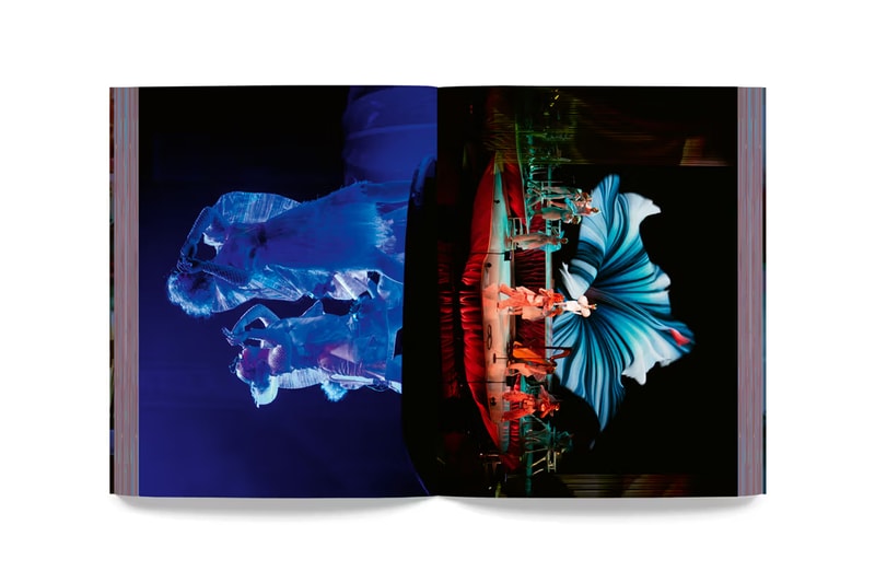 bjork cornucopia tour photo book release details run santiago felipe photographer visuals color page