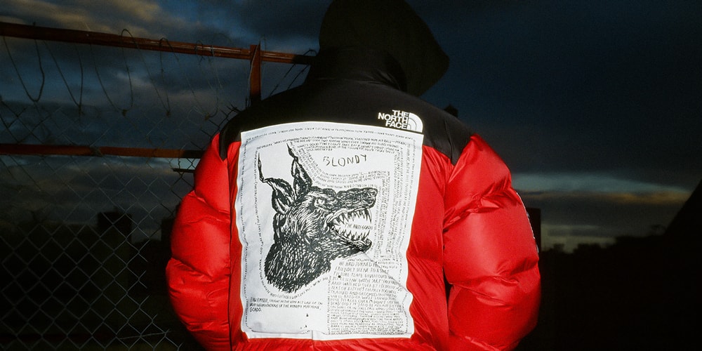 Коллаборация Supreme и The North Face осень 2024