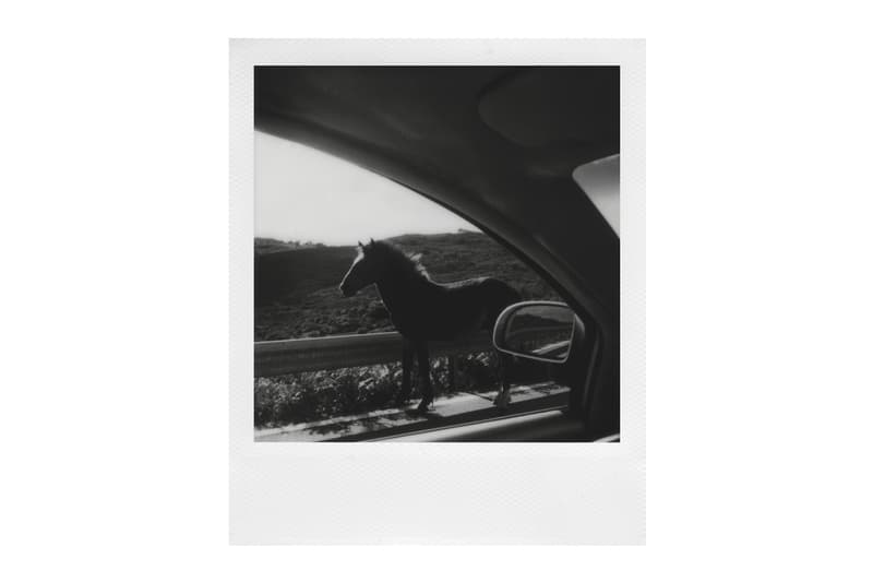 polaroid magnum photos winners paris photo fair showcase
