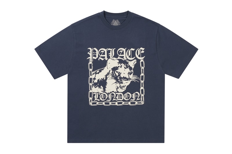 Everything Dropping at Palace This Week