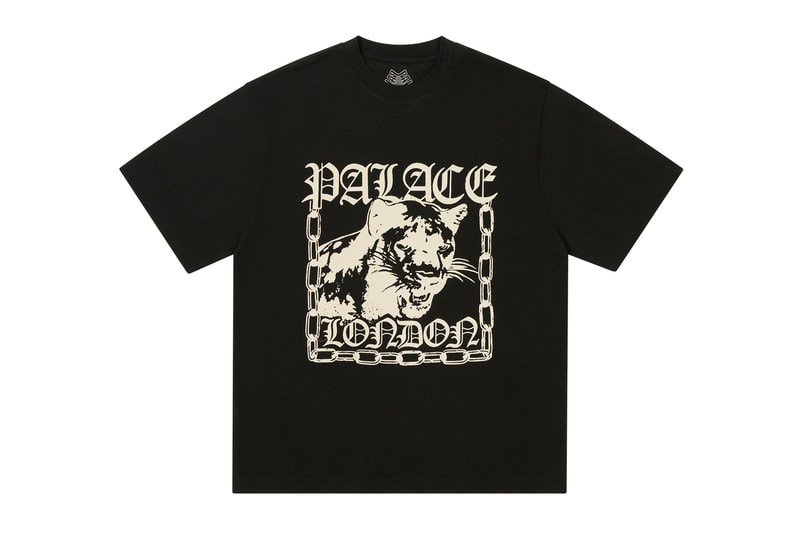 Everything Dropping at Palace This Week