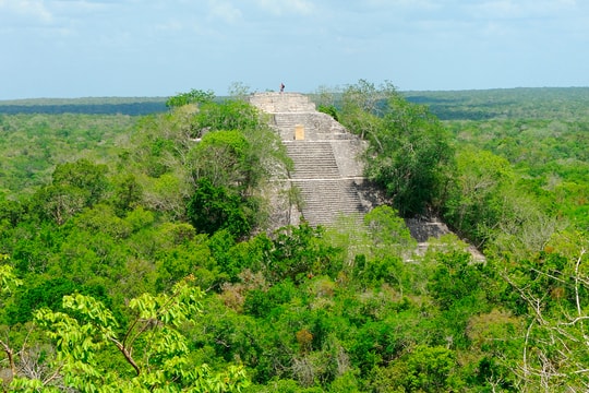 PhD Student Accidentally Discovers Ancient Mayan City