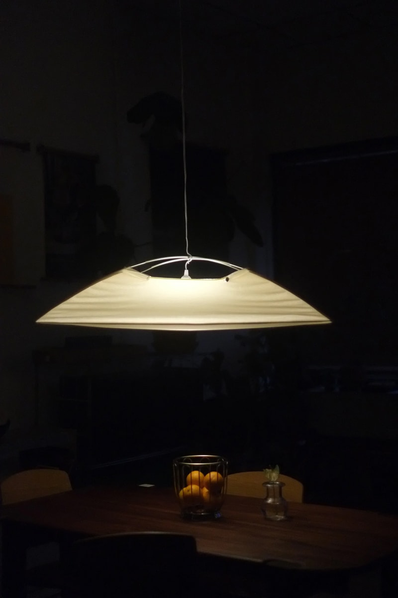 lichen nyc new york city pitch pendant lamp home shop now where to buy Onea Clare Aidan Elias Alvaro Ucha Rodriguez
