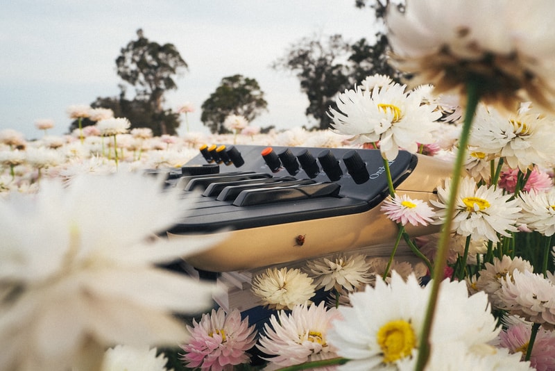 Tame Impala Kevin Parker Orchid Telepathic Instruments