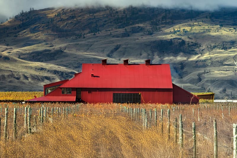 Red Barn Winery at Jagged Rock British Columbia Canada Info 