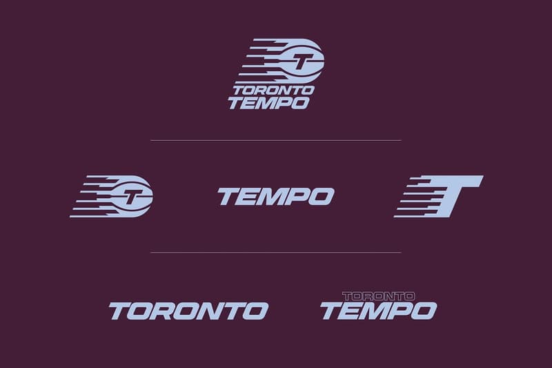 WNBA Announces New Franchise, Toronto Tempo leaks canadian basketball team