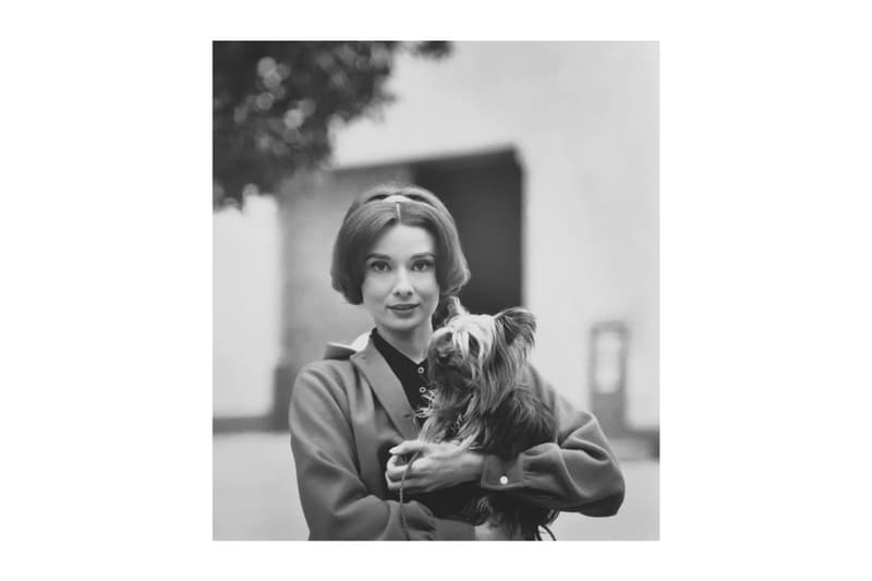woof peter fetterman gallery santa monica group exhibition art artworks elliott erwitt