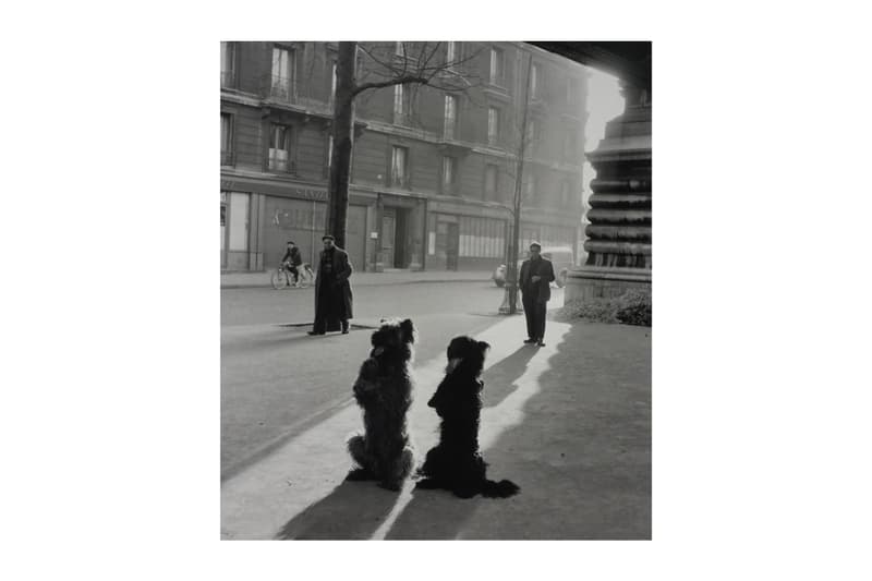 woof peter fetterman gallery santa monica group exhibition art artworks elliott erwitt