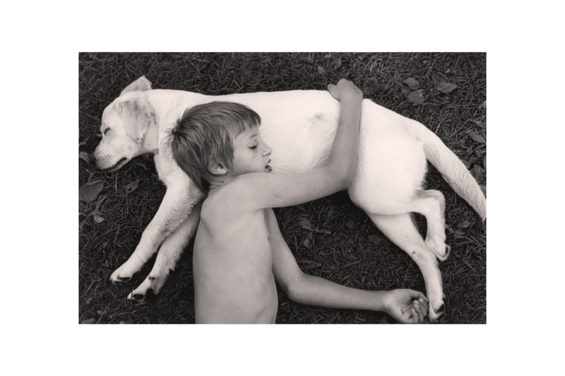 woof peter fetterman gallery santa monica group exhibition art artworks elliott erwitt