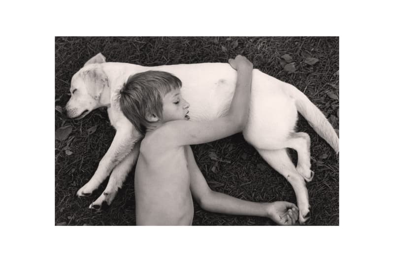 woof peter fetterman gallery santa monica group exhibition art artworks elliott erwitt