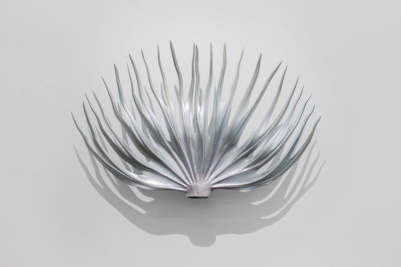 Trevor Yeung Not a Fighter, But a Lover Magician Space Beijing Betta Fish Art Artworks