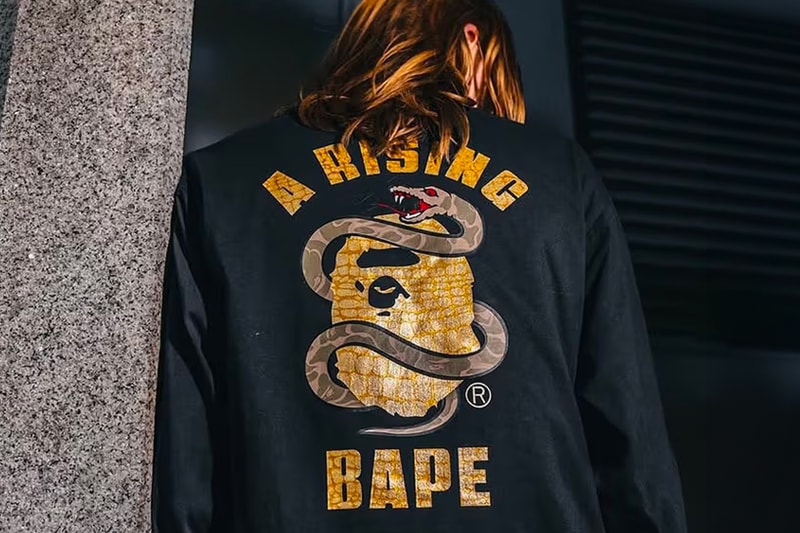 8 Drops You Don't Want to Miss This Week BAPE L L Bean Stone Island BEAMS Engineered Garments Kenzo Hollywood Ranch Market Yohji Yamamoto thisisneverthat Gramicci Marmot atmos
