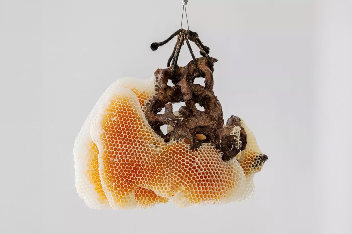 ceramic brussels returns artworks art installations exhibitions art
