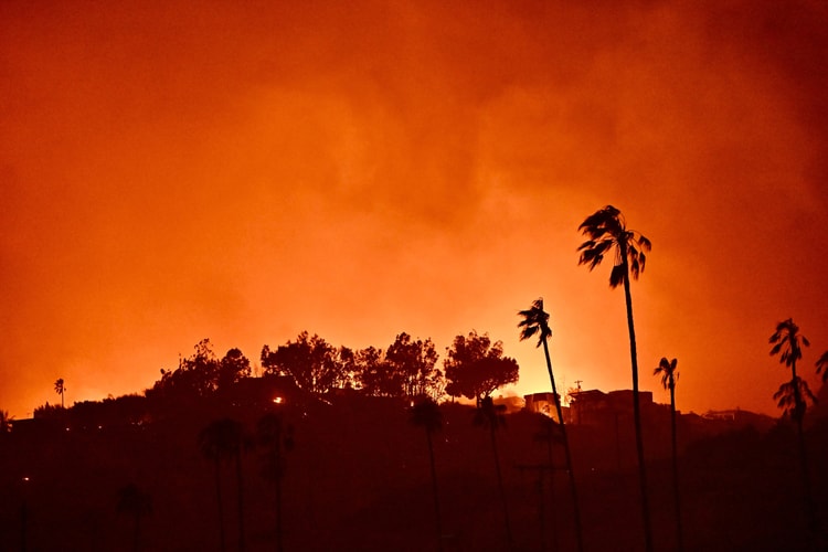 Los Angeles Fires Force Evacuations and Impact Art Institutions