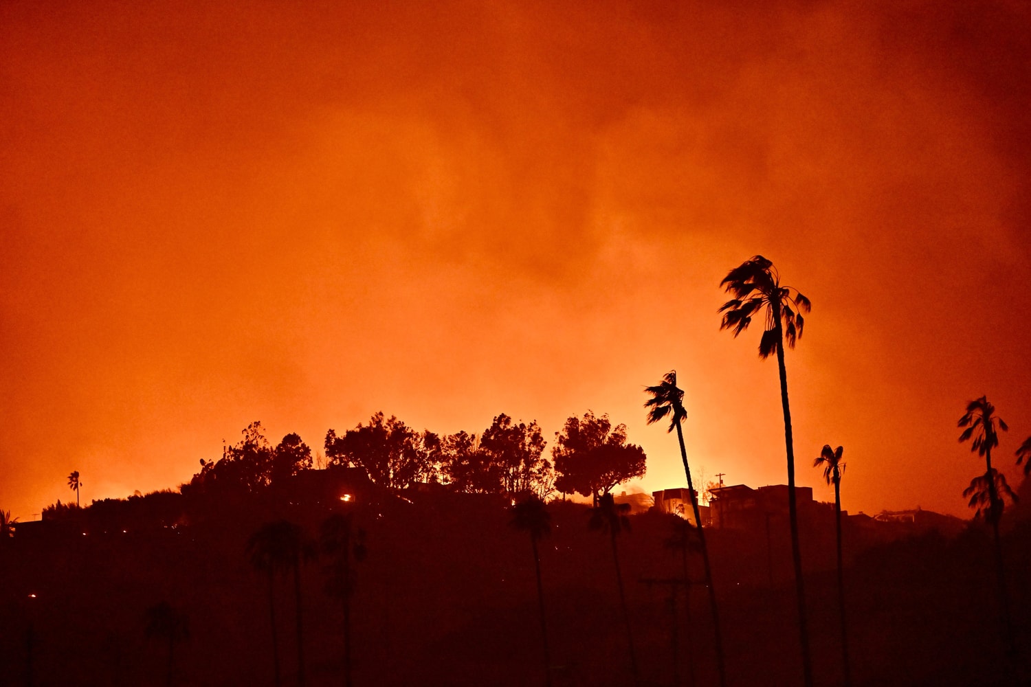 los angeles wildfires art institutions galleries reliefs exhibitions
