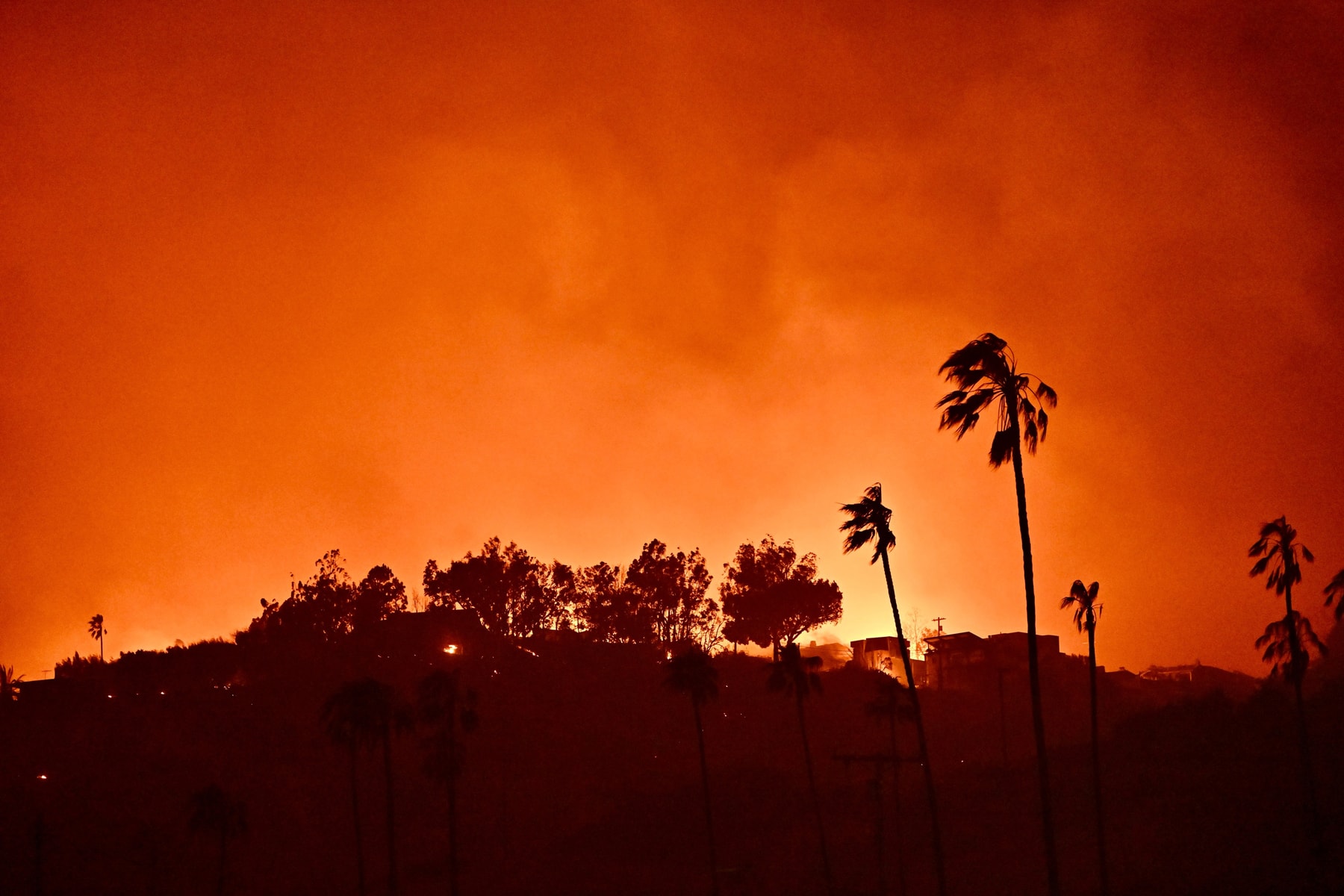 los angeles wildfires art institutions galleries reliefs exhibitions