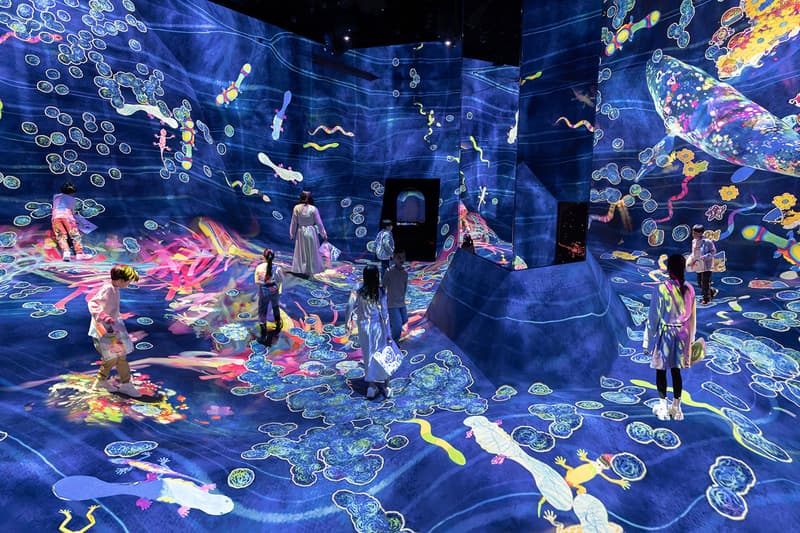 teamLab Planets TOKYO New Expanded Area "Athletics Forest" "Catching and Collecting Extinct Forest" "Future Park" "Sketch Factory" Info 