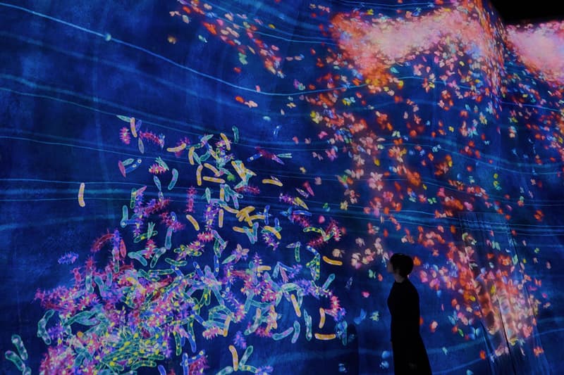 teamLab Planets TOKYO New Expanded Area "Athletics Forest" "Catching and Collecting Extinct Forest" "Future Park" "Sketch Factory" Info 