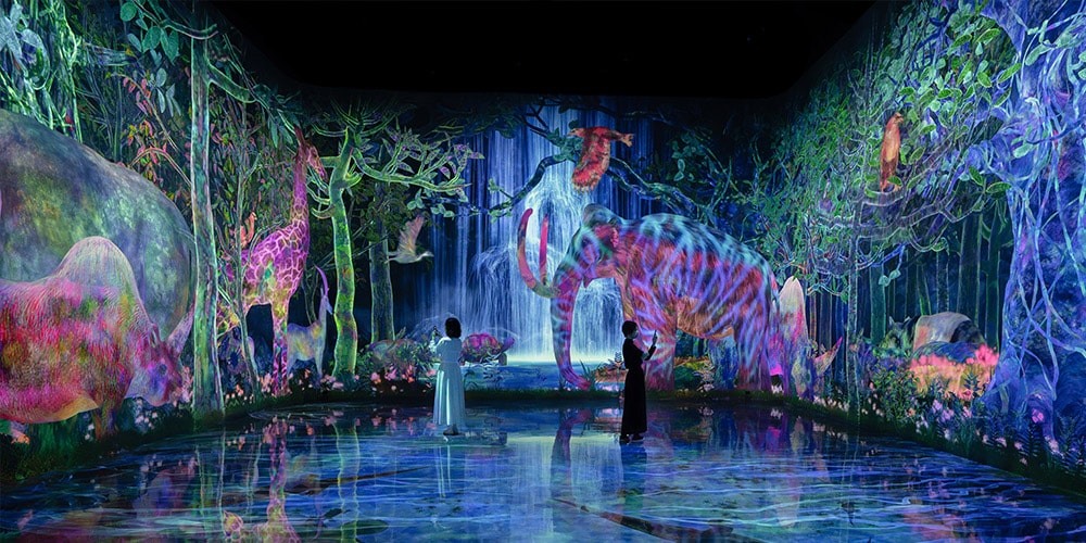 teamLab Planets TOKYO Unveils Major Expansion with New Immersive Attractions