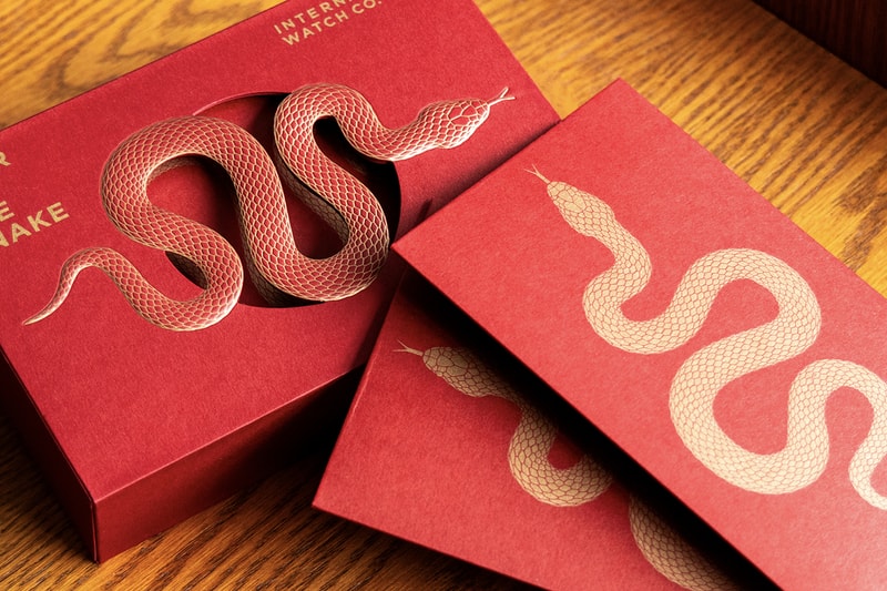 Year of the Snake 2025 luxury Red Packets cny lunar new year