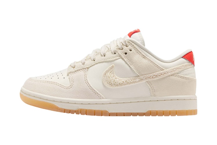 An Official Look at the Nike Dunk Low “Friendship Knot”