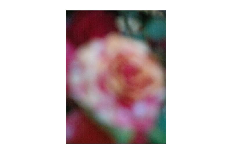 Alessandro Furchino Capria Exhibition Saint Laurent Babylone Limehouse Flower Art Artwork