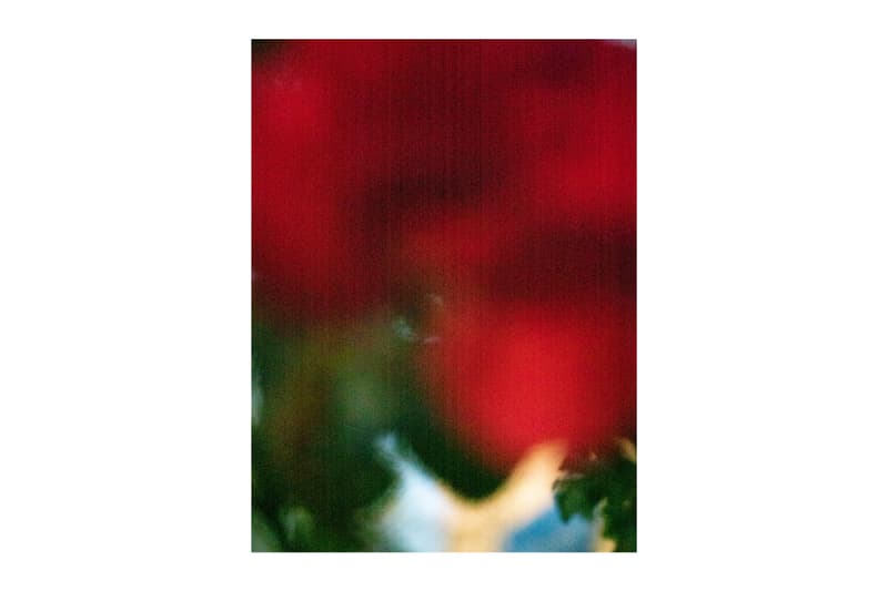Alessandro Furchino Capria Exhibition Saint Laurent Babylone Limehouse Flower Art Artwork