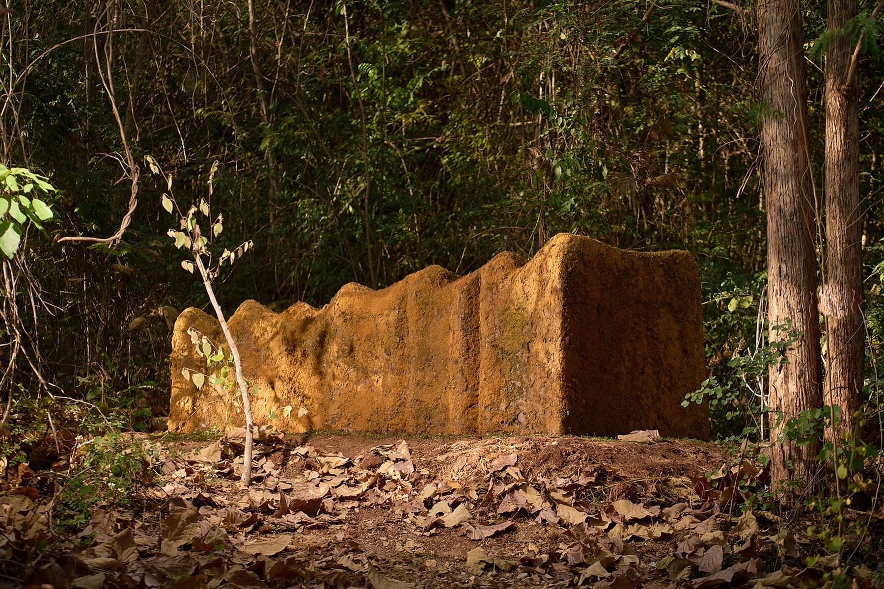 Khao Yai Art Forest Opens in Thailand Marisa Chearavanont