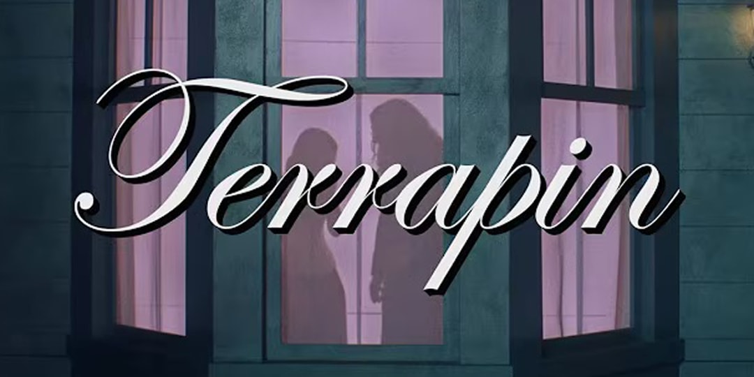 "Weird Al" Yankovic Stars in Clairo's Ayo Edebiri-Directed "Terrapin" Visual