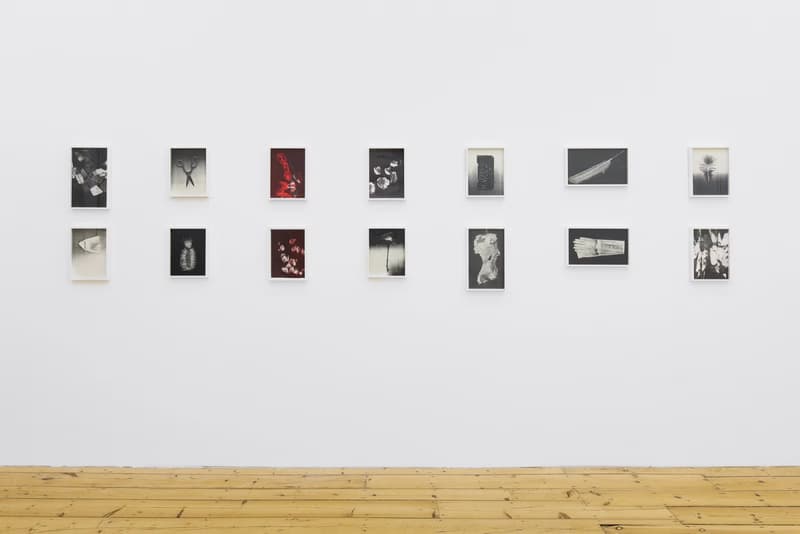 maureen paley pati hill wolfgang tillmans photocopier works photographs exhibitions