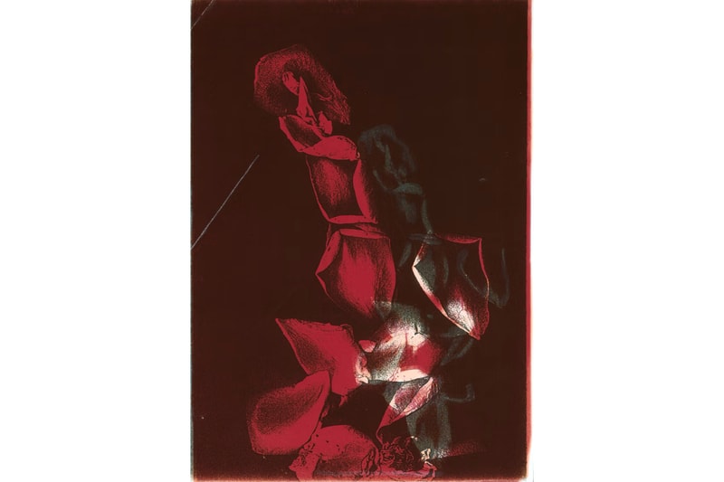 maureen paley pati hill wolfgang tillmans photocopier works photographs exhibitions