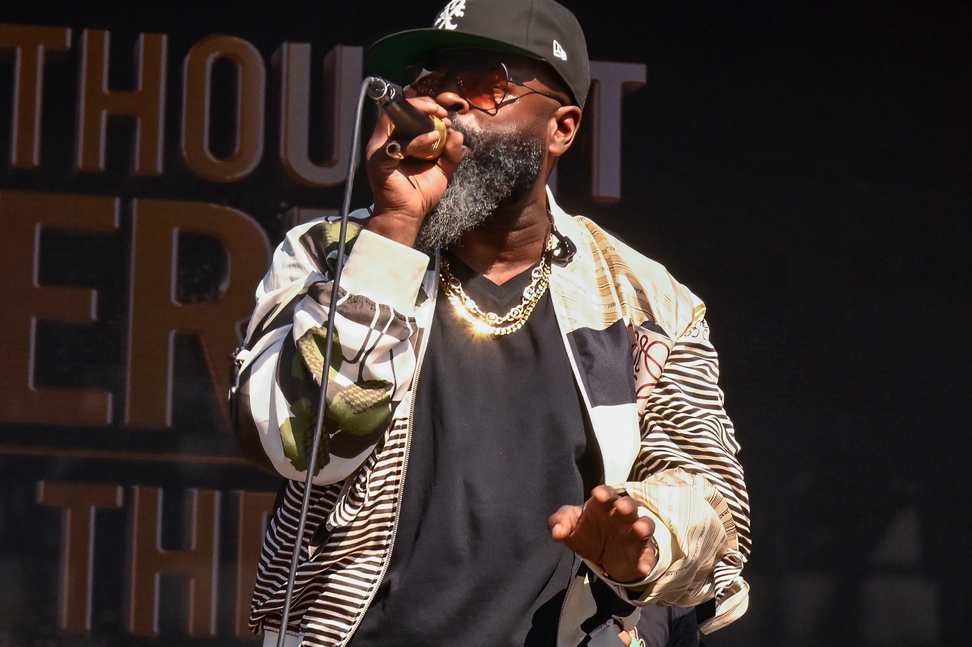 Roots Picnic 2025 Lineup Announcement