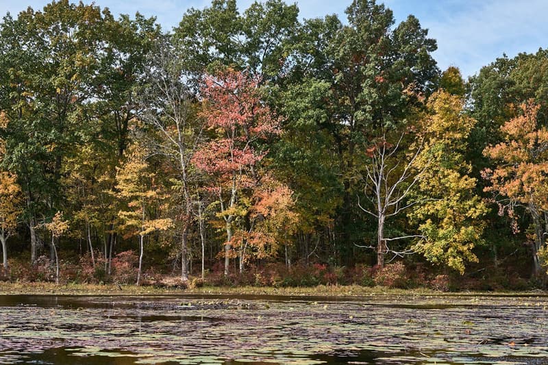 nARCHITECTS CLT Lake House New York Information