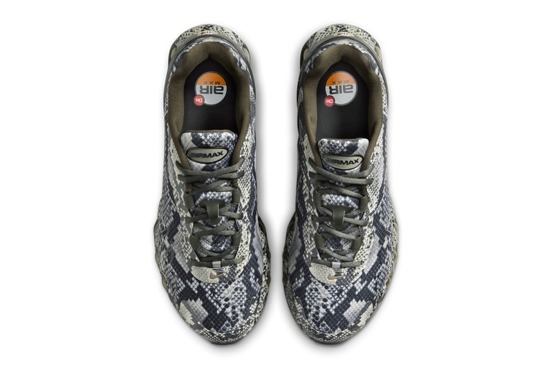 Nike Air Max DN8 “Snakeskin” Release Info First Look Dynamic Air midsole Swoosh snake print pattern HV8476-300