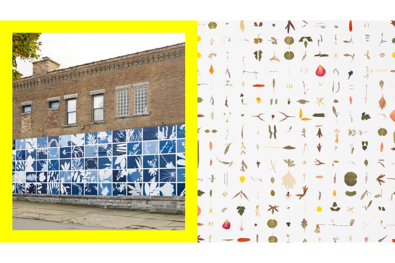 buffalo akg hi vis art museum exhibition public