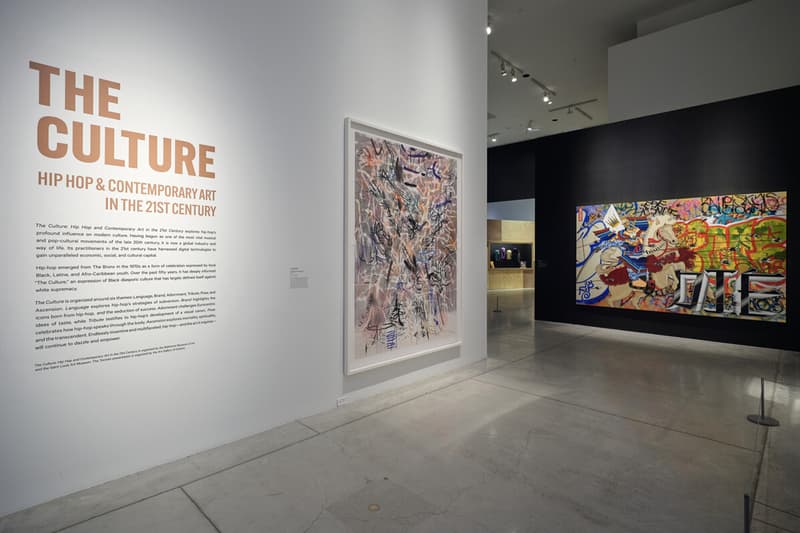 'The Culture: Hip Hop and Contemporary Art in the 21st Century' Exhibit Explores the Global Impact of Hip Hop caitlin cronenberg drake views album cn tower craig boyko portrait snoop dogg julie mehretu alvaro barrington 