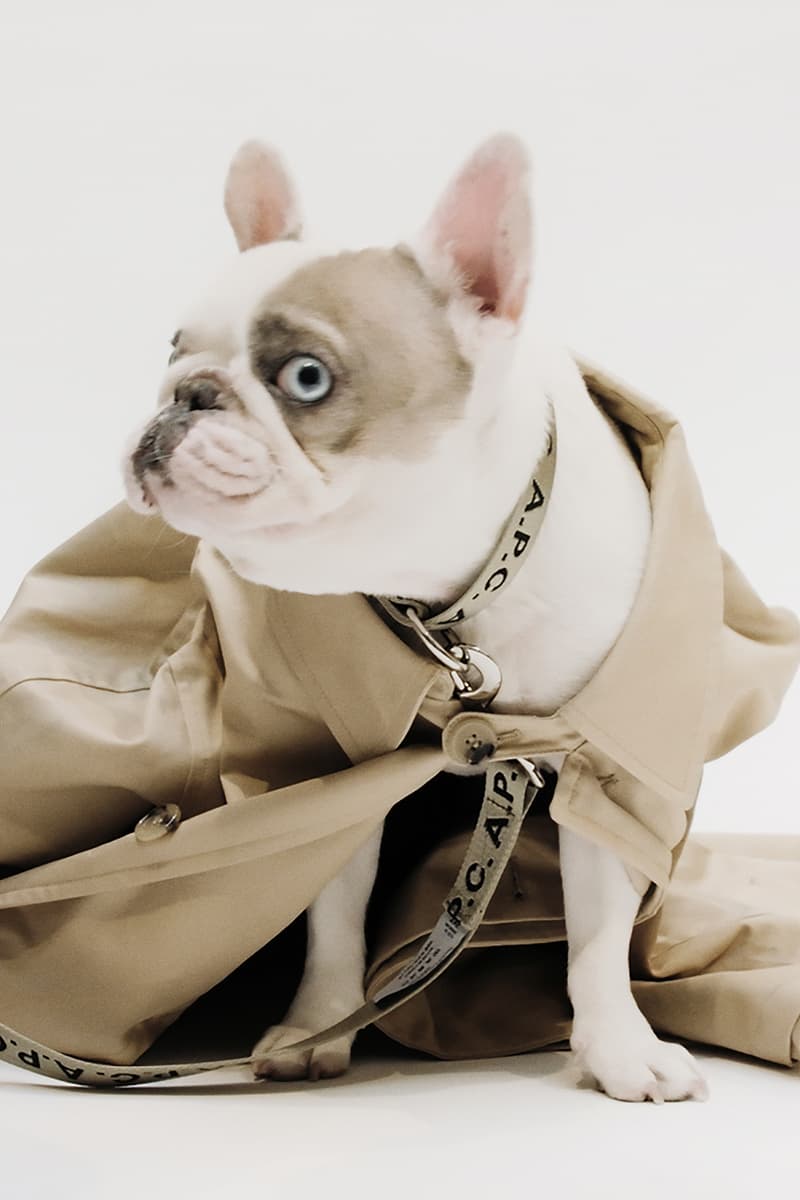 A.P.C. TOUTOUT Is For All the Dogs