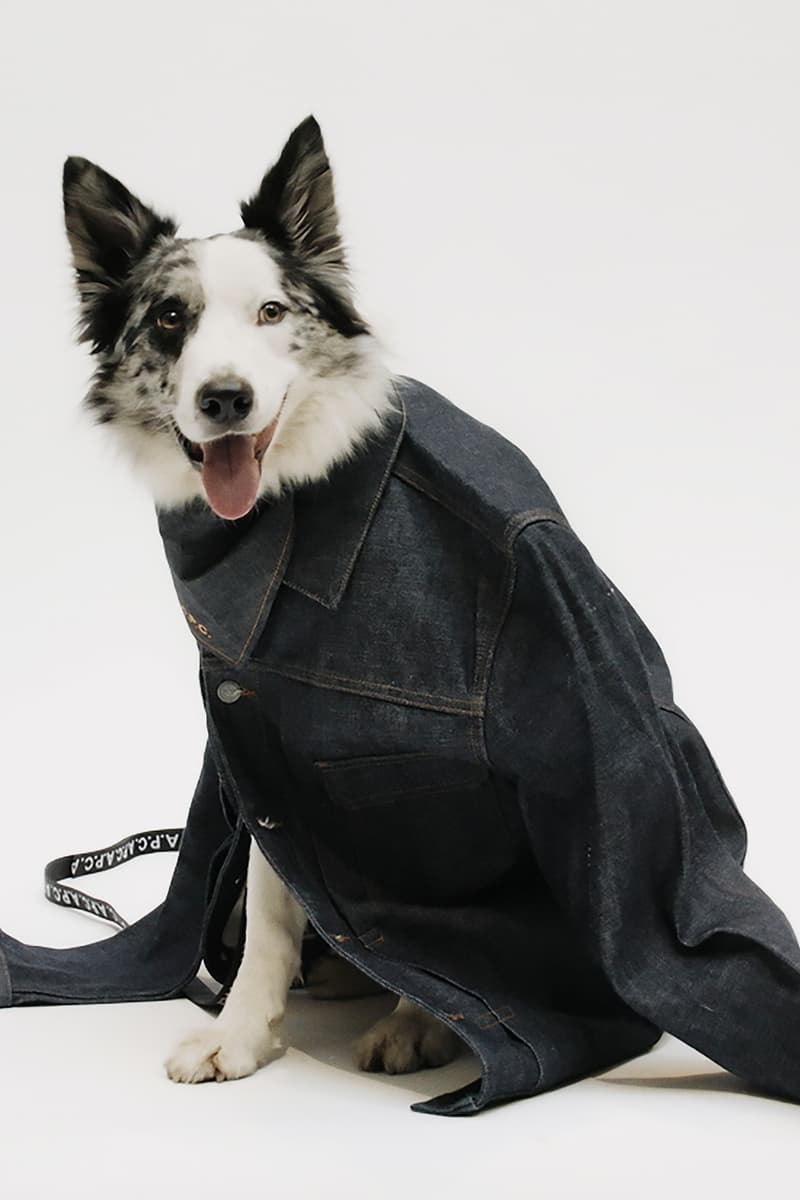 A.P.C. TOUTOUT Is For All the Dogs