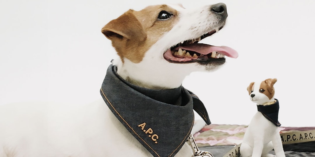 A.P.C. TOUTOU Is For All the Dogs