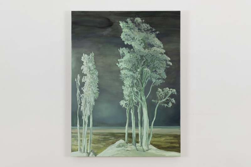 Emma Webster 'Vapors' Exhibition Perrotin Art Basel Hong Kong