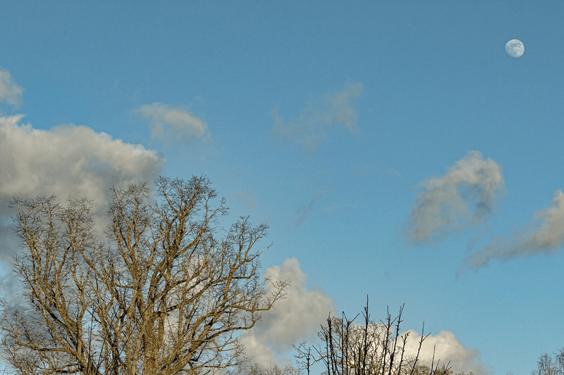Teste Prático com o Land Rover Defender OCTA 2025