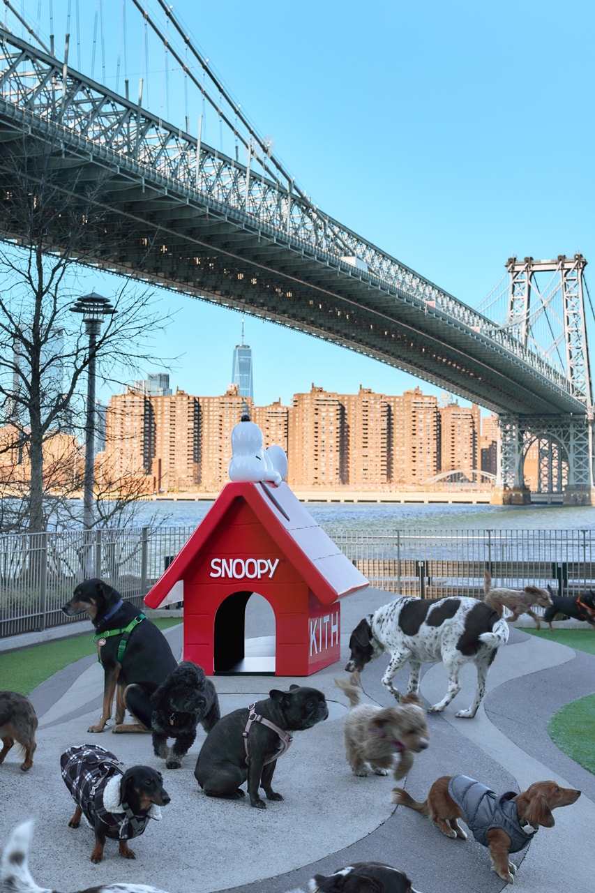 Kith Brings Snoopy's Doghouse to Domino Park peanuts collab brooklyn nyc charlie brown