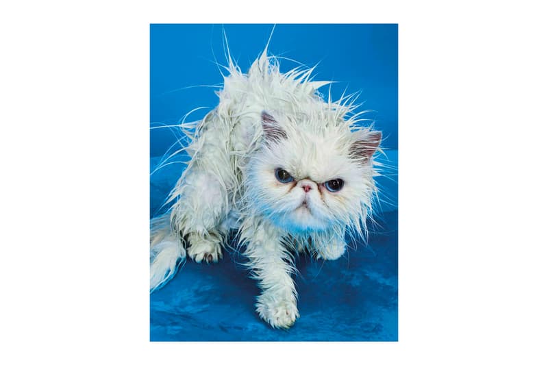 TOILETPAPER and Fotografiska Announce Berlin Exhibition art artworks ToiletFotoPaperGrafiska