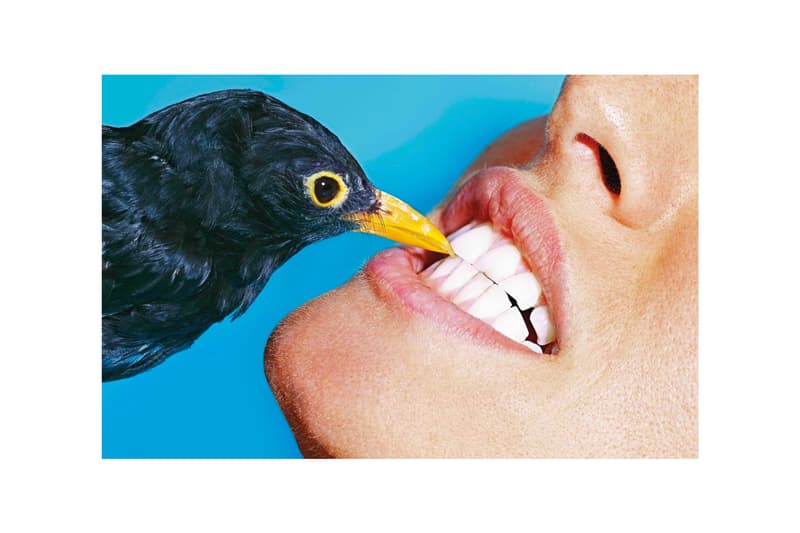 TOILETPAPER and Fotografiska Announce Berlin Exhibition art artworks ToiletFotoPaperGrafiska
