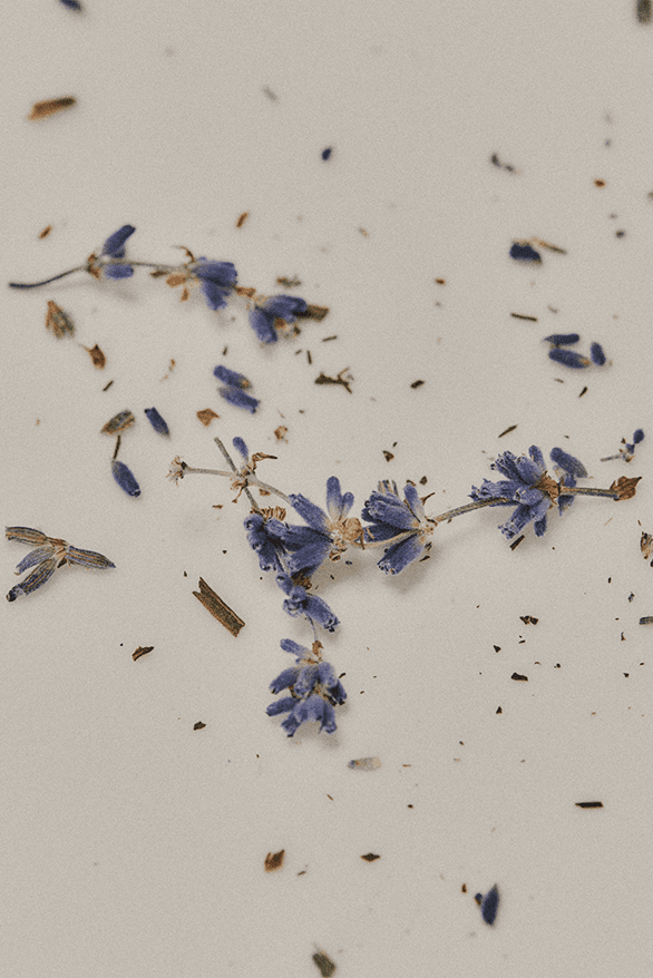 Au Départ Lavender Capsule Collection Release Information details date womenswear bags